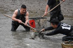 杭州：西溪湿地“干塘”捕鱼